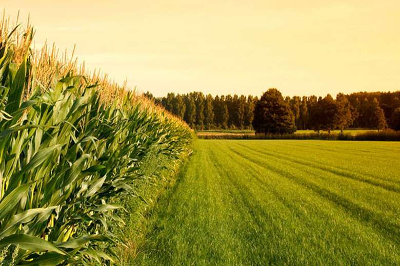 تغییر کاربری زمین کشاورزی چگونه انجام می شود؟