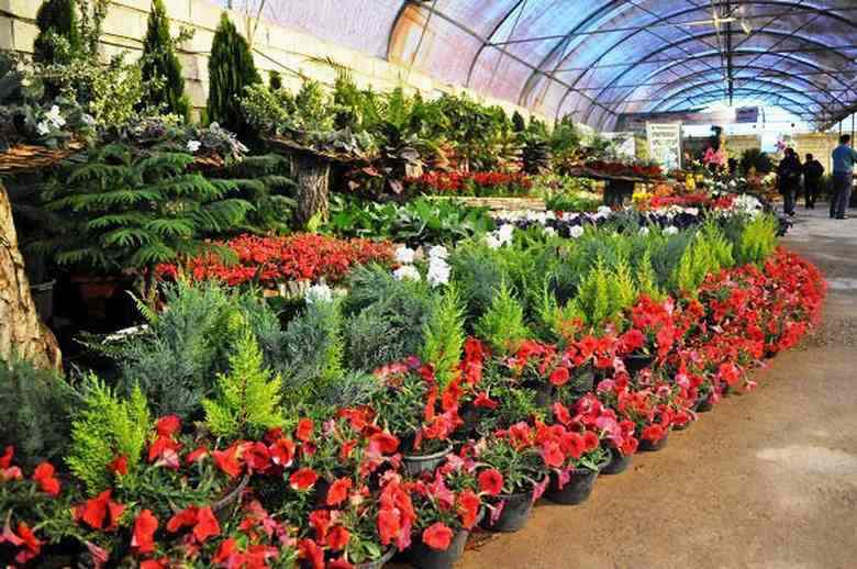 خرید گلخانه در مشهد چگونه ممکن می شود؟
